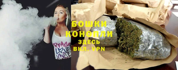 индика Беломорск