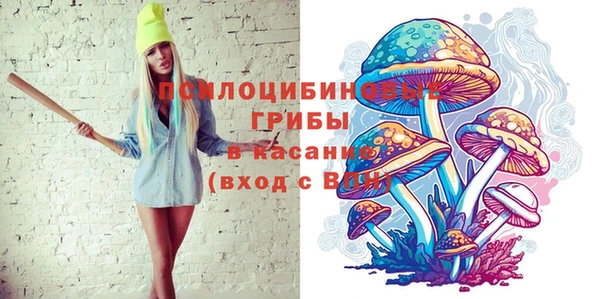 индика Беломорск