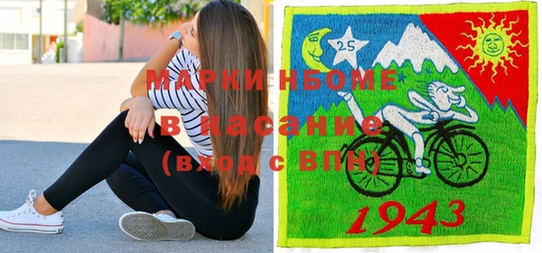 индика Беломорск