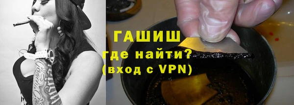 индика Беломорск