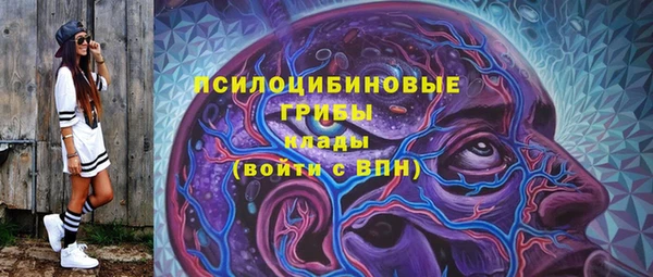 индика Беломорск