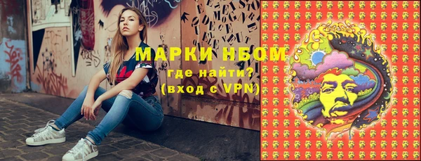 индика Беломорск