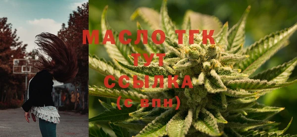 индика Беломорск