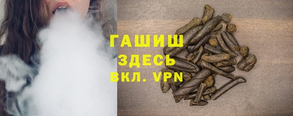 индика Беломорск