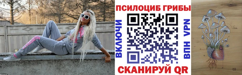 закладка  Волоколамск  Псилоцибиновые грибы MAGIC MUSHROOMS 